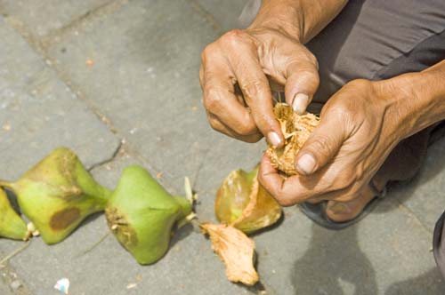 kaban fruit-AsiaPhotoStock