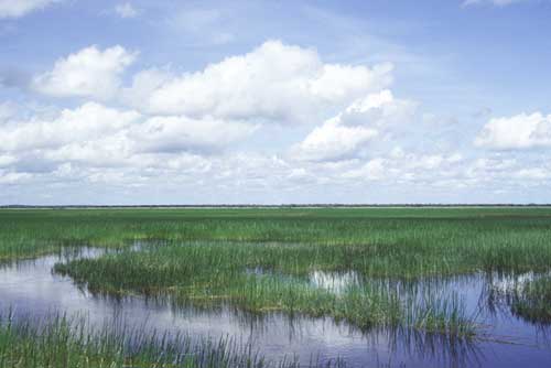 kakadu national park-AsiaPhotoStock