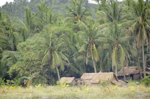 kampong-AsiaPhotoStock