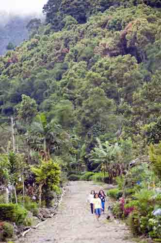 kampong gunung mas-AsiaPhotoStock