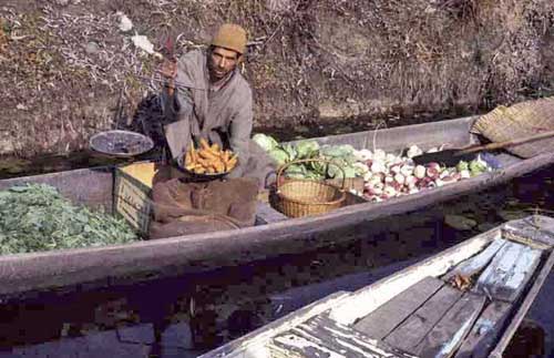 vegetable seller-AsiaPhotoStock