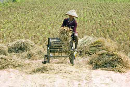 tractor-AsiaPhotoStock