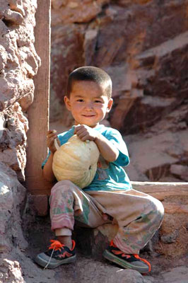 boy with pumpkin-AsiaPhotoStock