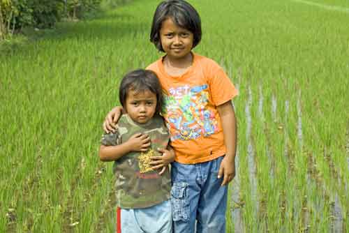 kids rice-AsiaPhotoStock