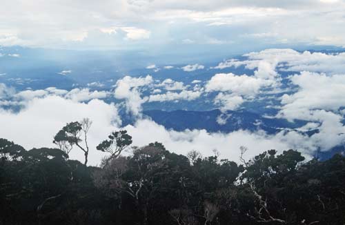 trees and clouds-AsiaPhotoStock