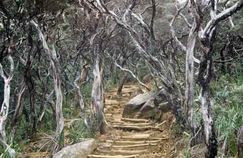 steps up kinabalu-AsiaPhotoStock