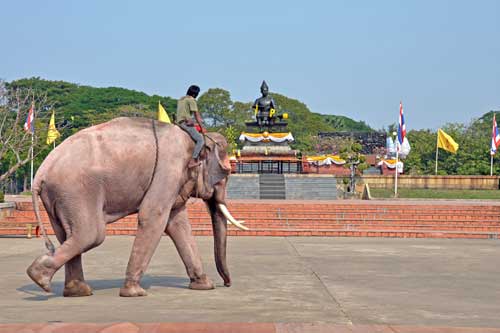 king statue and elephant-AsiaPhotoStock