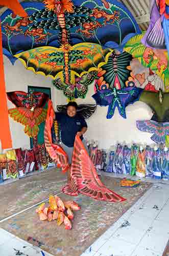 kite showroom bali-AsiaPhotoStock