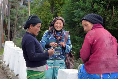 knitting-AsiaPhotoStock