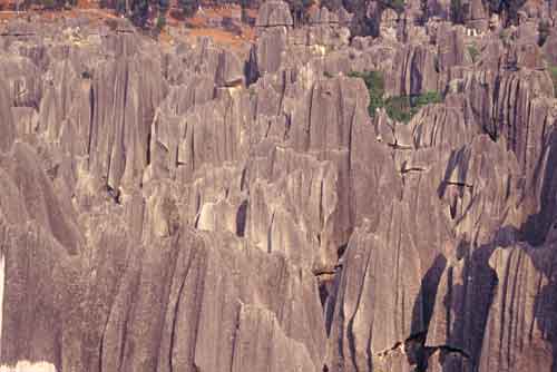 kunming stone forest-AsiaPhotoStock