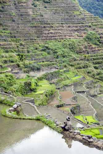 batad oldest worker-AsiaPhotoStock