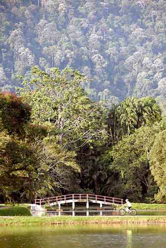 lake bridge taiping-AsiaPhotoStock