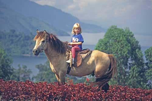 horse rider lake toba-AsiaPhotoStock