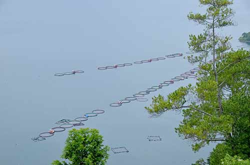 lake toba fishfarm-AsiaPhotoStock