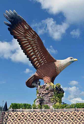 langkawi eagle-AsiaPhotoStock