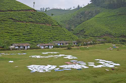 laundry munnar-AsiaPhotoStock