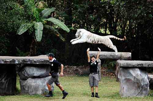 leaping-AsiaPhotoStock