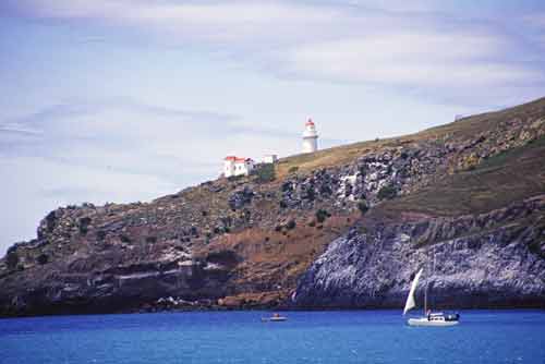 otago light house-AsiaPhotoStock