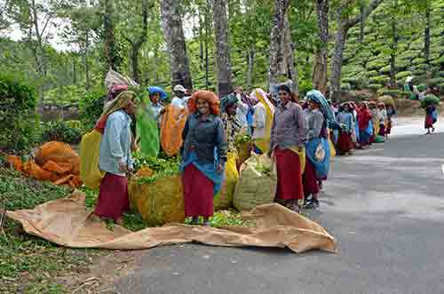 line of workers-AsiaPhotoStock