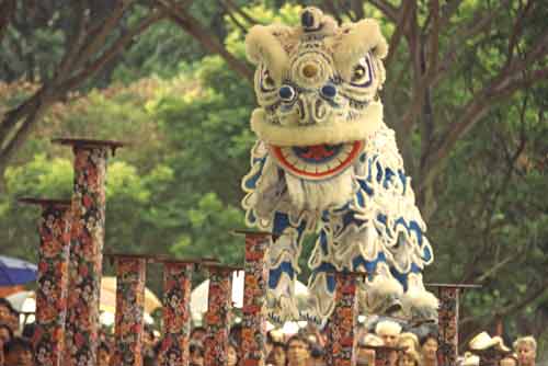 lion dance competition-AsiaPhotoStock