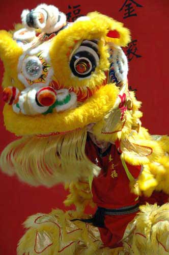 lion dance-AsiaPhotoStock