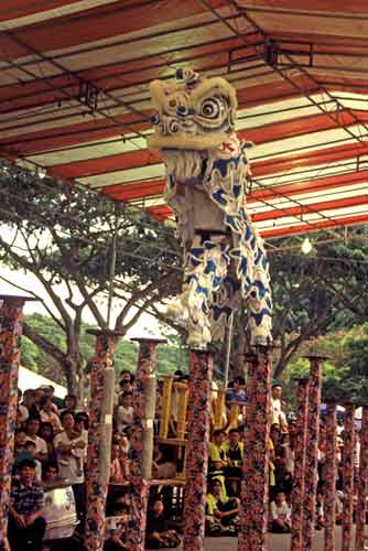 competitive lion dance-AsiaPhotoStock