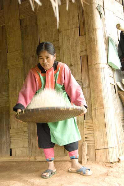 lisu sieving rice-AsiaPhotoStock