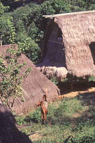 lombok houses-AsiaPhotoStock