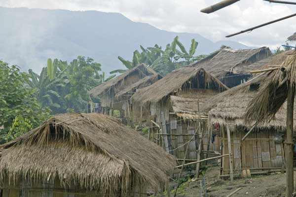 Tribe Houses