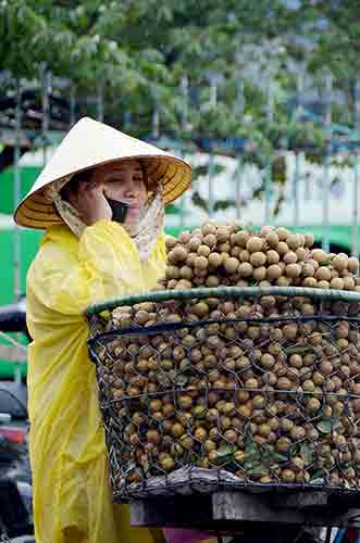 longan seller-AsiaPhotoStock