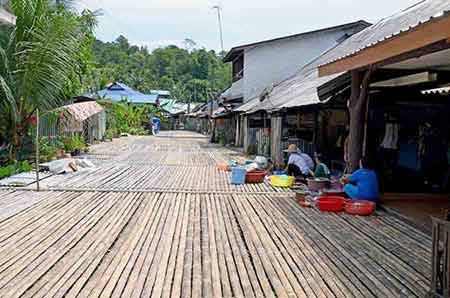 longhouse bamboo flooring-AsiaPhotoStock