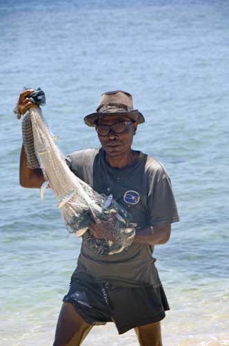 lots of fish-AsiaPhotoStock