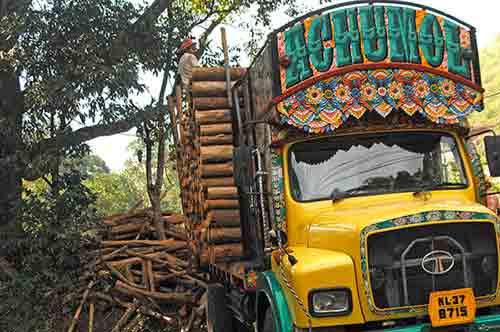 lumber kerala-AsiaPhotoStock