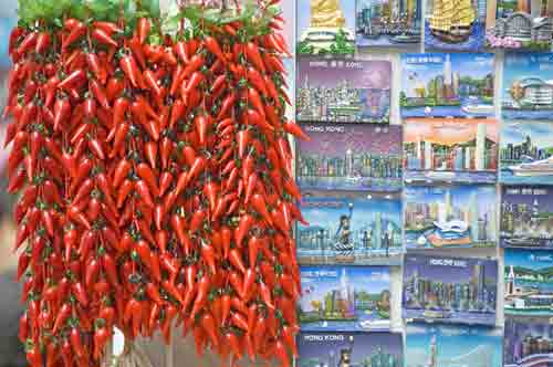 magnets and chillies-AsiaPhotoStock