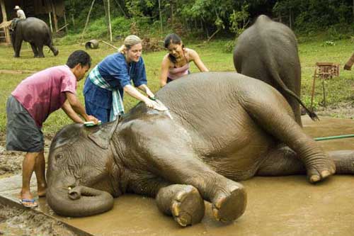 mahout camp-AsiaPhotoStock