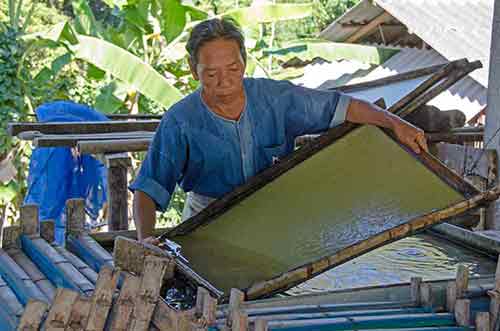 making poop paper-AsiaPhotoStock