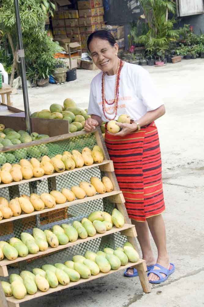 mangoes banaue-AsiaPhotoStock