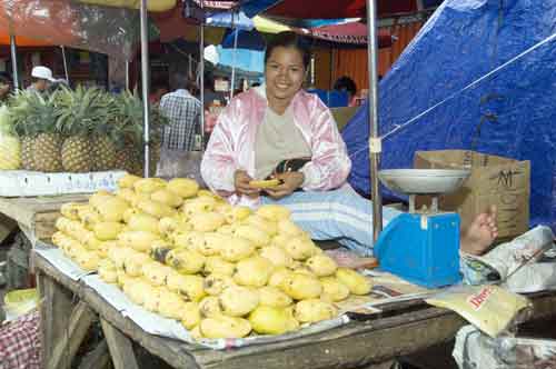 mango stalls-AsiaPhotoStock