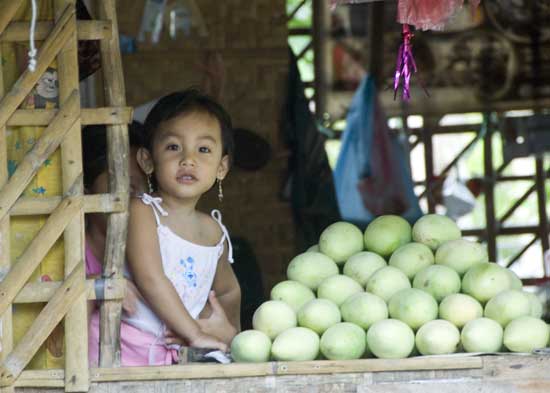 mango stall-AsiaPhotoStock