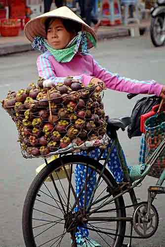 mangosteen-AsiaPhotoStock