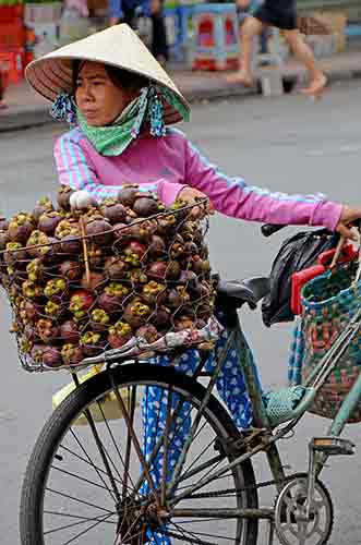 mangosteens-AsiaPhotoStock