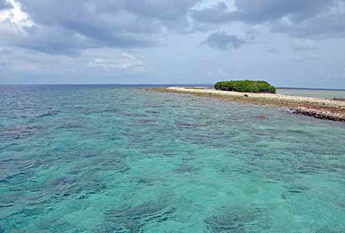 mangrove island-AsiaPhotoStock