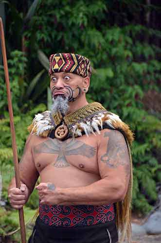 maori at tamaki-AsiaPhotoStock