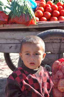 barrow boy at market-AsiaPhotoStock