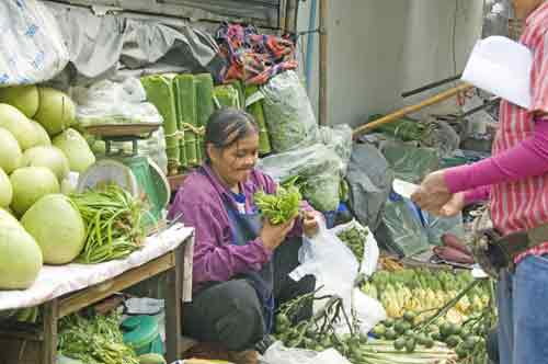 market fruit and veg-AsiaPhotoStock