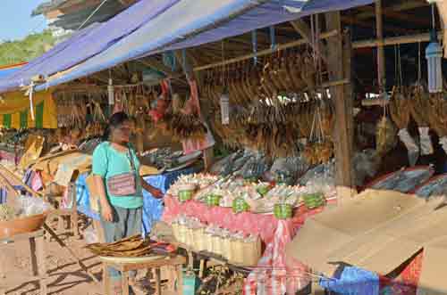 market fish-AsiaPhotoStock