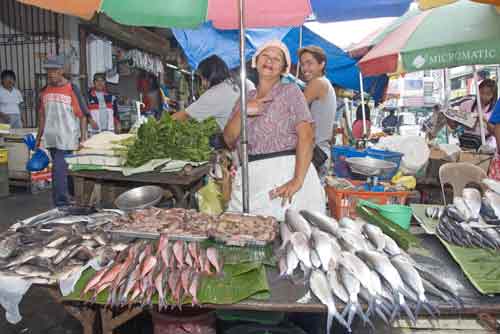 fish stall wet market-AsiaPhotoStock