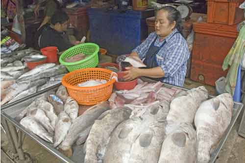 market maeklong-AsiaPhotoStock