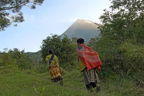 merapi grass cutters-AsiaPhotoStock