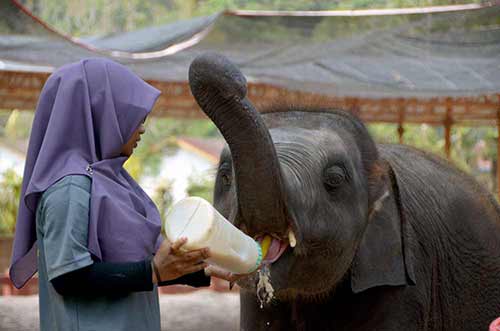 big milk bottle feed-AsiaPhotoStock